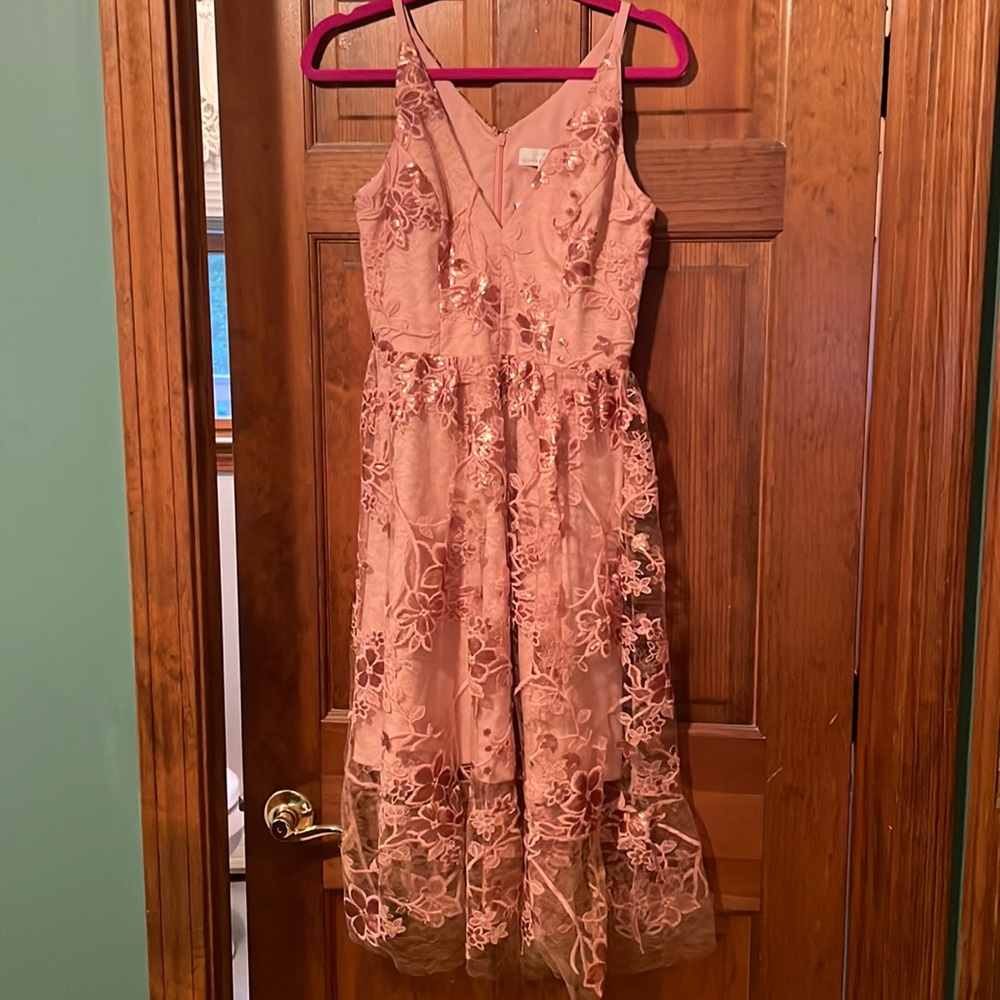 Dress The Population Ally 3d Floral Mesh Cocktail Dress In Dusty Pink - Small